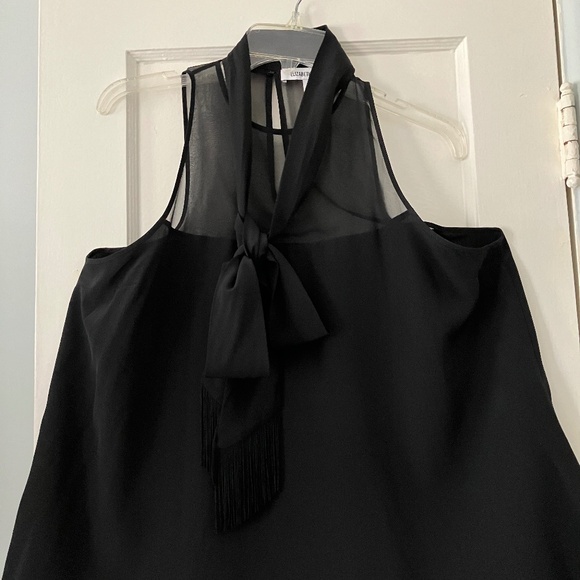 Elizabeth and James Tops - Elizabeth&James Silk Blouse w/Fringe ties